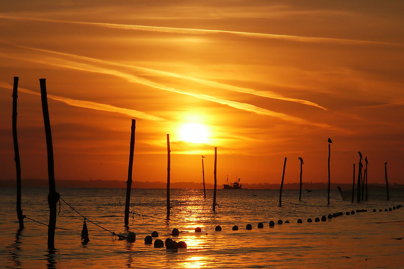 3. Platz - Sonnenaufgang