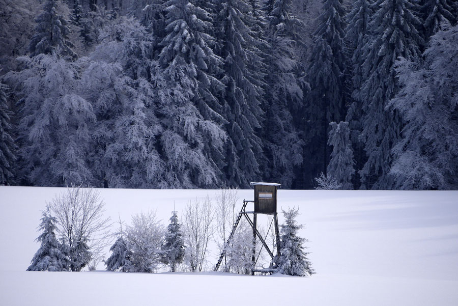 098 Winterlandschaft auf der Alb