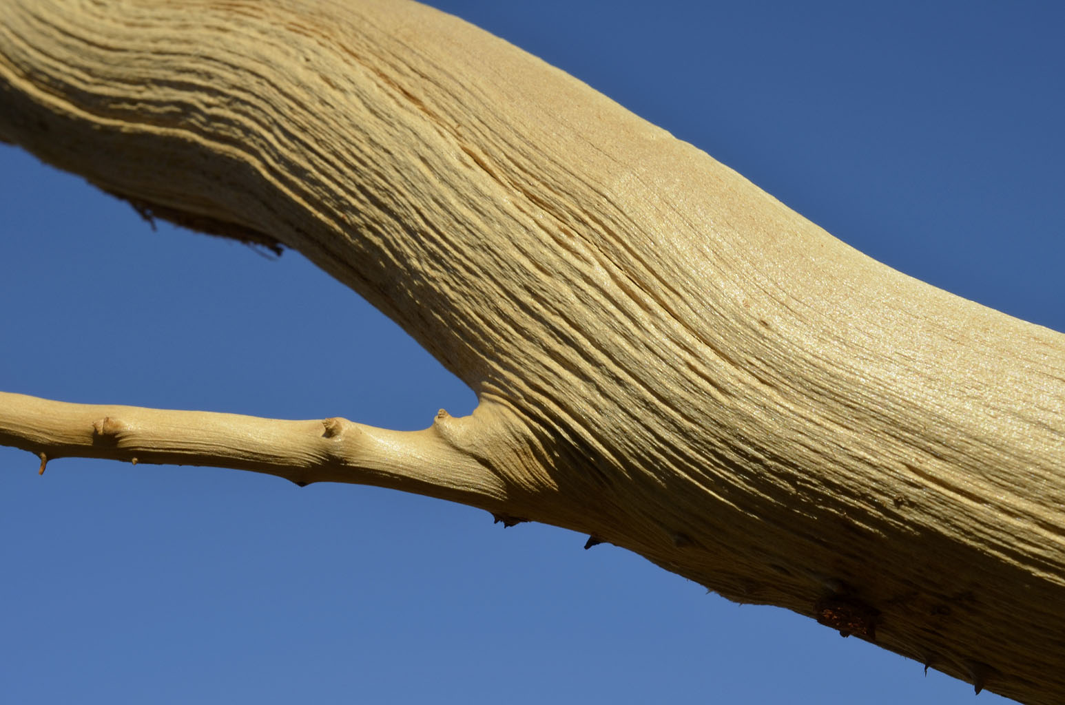 128 Holzskulptur von Manfred Adler, Hepsisau