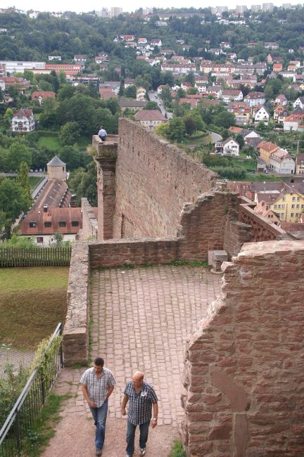 055 Wertheim Burgruine