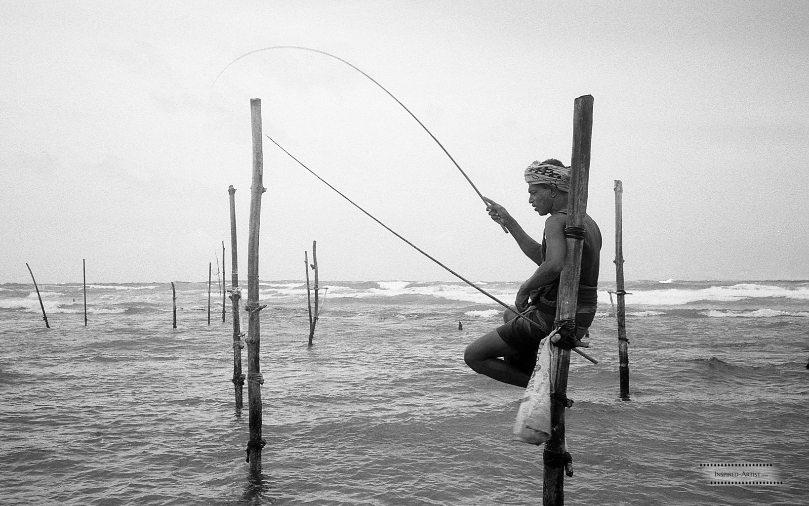 Sri Lanka 2017, Street Study 219