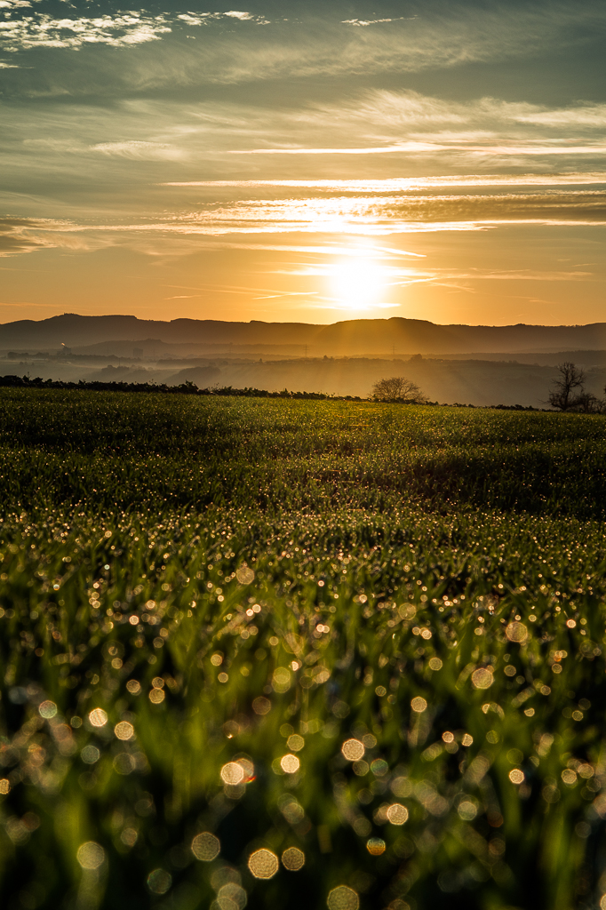 Sonnenaufgang