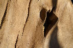 130 Holzskulptur von Manfred Adler, Hepsisau