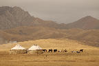 076 Jurten im Tien-Shan Gebirge in Kirgisistan